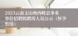 2023云南文山州西畴县事业单位招聘拟聘用人员公示（怀孕暂缓）