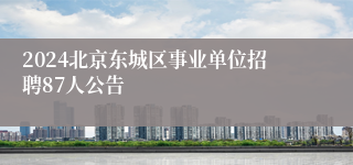 2024北京东城区事业单位招聘87人公告