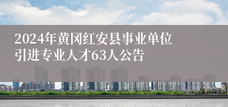 2024年黄冈红安县事业单位引进专业人才63人公告