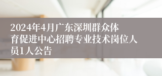 2024年4月广东深圳群众体育促进中心招聘专业技术岗位人员1人公告