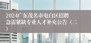 2024广东茂名市电白区招聘急需紧缺专业人才补充公告（二）