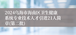 2024乌海市海南区卫生健康系统专业技术人才引进21人简章(第二批)