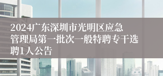 2024广东深圳市光明区应急管理局第一批次一般特聘专干选聘1人公告