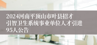 2024河南平顶山市叶县招才引智卫生系统事业单位人才引进95人公告