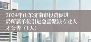 2024年山东济南市投资促进局所属单位引进急需紧缺专业人才公告（1人）