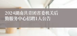 2024湖南共青团省委机关后勤服务中心招聘1人公告