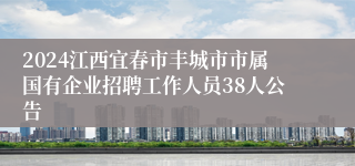 2024江西宜春市丰城市市属国有企业招聘工作人员38人公告