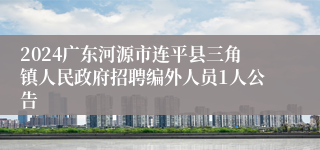 2024广东河源市连平县三角镇人民政府招聘编外人员1人公告