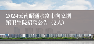 2024云南昭通水富市向家坝镇卫生院招聘公告（2人）
