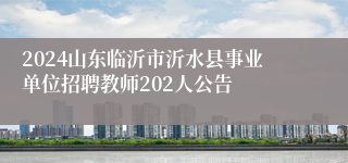 2024山东临沂市沂水县事业单位招聘教师202人公告
