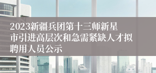 2023新疆兵团第十三师新星市引进高层次和急需紧缺人才拟聘用人员公示