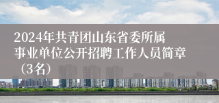 2024年共青团山东省委所属事业单位公开招聘工作人员简章（3名）