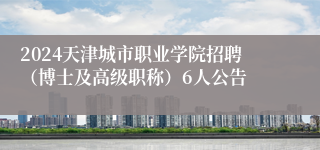 2024天津城市职业学院招聘（博士及高级职称）6人公告