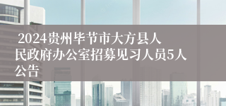  2024贵州毕节市大方县人民政府办公室招募见习人员5人公告