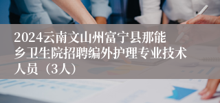 2024云南文山州富宁县那能乡卫生院招聘编外护理专业技术人员（3人）