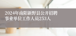 2024年南阳新野县公开招聘事业单位工作人员253人