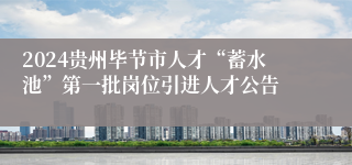2024贵州毕节市人才“蓄水池”第一批岗位引进人才公告