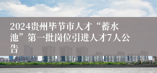 2024贵州毕节市人才“蓄水池”第一批岗位引进人才7人公告