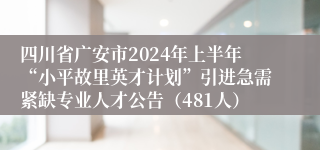 四川省广安市2024年上半年“小平故里英才计划”引进急需紧缺专业人才公告（481人）