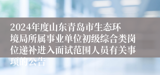 2024年度山东青岛市生态环境局所属事业单位初级综合类岗位递补进入面试范围人员有关事项的公告