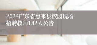 2024广东省惠来县校园现场招聘教师182人公告
