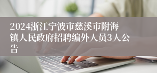 2024浙江宁波市慈溪市附海镇人民政府招聘编外人员3人公告