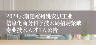 2024云南楚雄州姚安县工业信息化商务科学技术局招聘紧缺专业技术人才1人公告