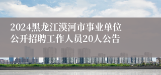 2024黑龙江漠河市事业单位公开招聘工作人员20人公告