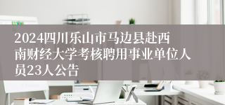 2024四川乐山市马边县赴西南财经大学考核聘用事业单位人员23人公告
