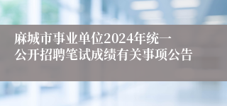 麻城市事业单位2024年统一公开招聘笔试成绩有关事项公告