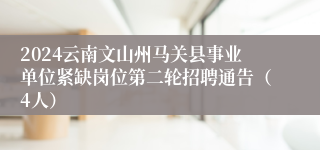 2024云南文山州马关县事业单位紧缺岗位第二轮招聘通告（4人）