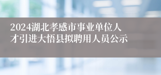 2024湖北孝感市事业单位人才引进大悟县拟聘用人员公示