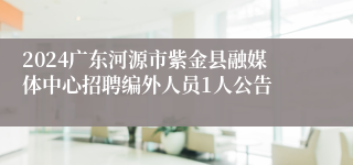 2024广东河源市紫金县融媒体中心招聘编外人员1人公告