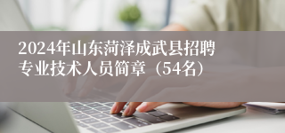2024年山东菏泽成武县招聘专业技术人员简章（54名）