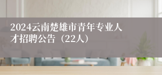 2024云南楚雄市青年专业人才招聘公告（22人）