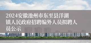 2024安徽池州市东至县洋湖镇人民政府招聘编外人员拟聘人员公示