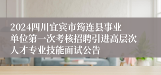 2024四川宜宾市筠连县事业单位第一次考核招聘引进高层次人才专业技能面试公告