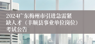 2024广东梅州市引进急需紧缺人才（丰顺县事业单位岗位）考试公告