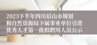 2023下半年四川眉山市规划和自然资源局下属事业单位引进优秀人才第一批拟聘用人员公示