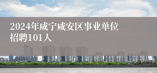 2024年咸宁咸安区事业单位招聘101人