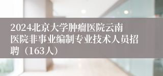 2024北京大学肿瘤医院云南医院非事业编制专业技术人员招聘（163人）