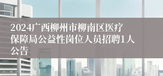 2024广西柳州市柳南区医疗保障局公益性岗位人员招聘1人公告