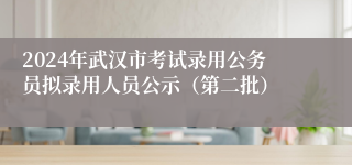 2024年武汉市考试录用公务员拟录用人员公示（第二批）