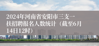 2024年河南省安阳市三支一扶招聘报名人数统计（截至6月14日12时）