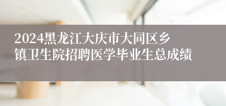 2024黑龙江大庆市大同区乡镇卫生院招聘医学毕业生总成绩
