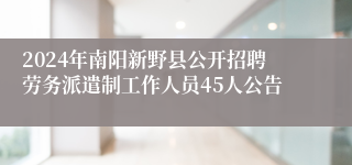 2024年南阳新野县公开招聘劳务派遣制工作人员45人公告