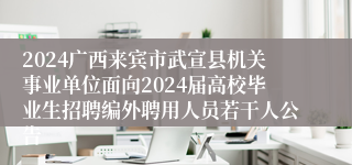2024广西来宾市武宣县机关事业单位面向2024届高校毕业生招聘编外聘用人员若干人公告