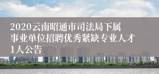 2020云南昭通市司法局下属事业单位招聘优秀紧缺专业人才1人公告