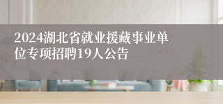 2024湖北省就业援藏事业单位专项招聘19人公告
