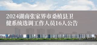 2024湖南张家界市桑植县卫健系统选调工作人员16人公告